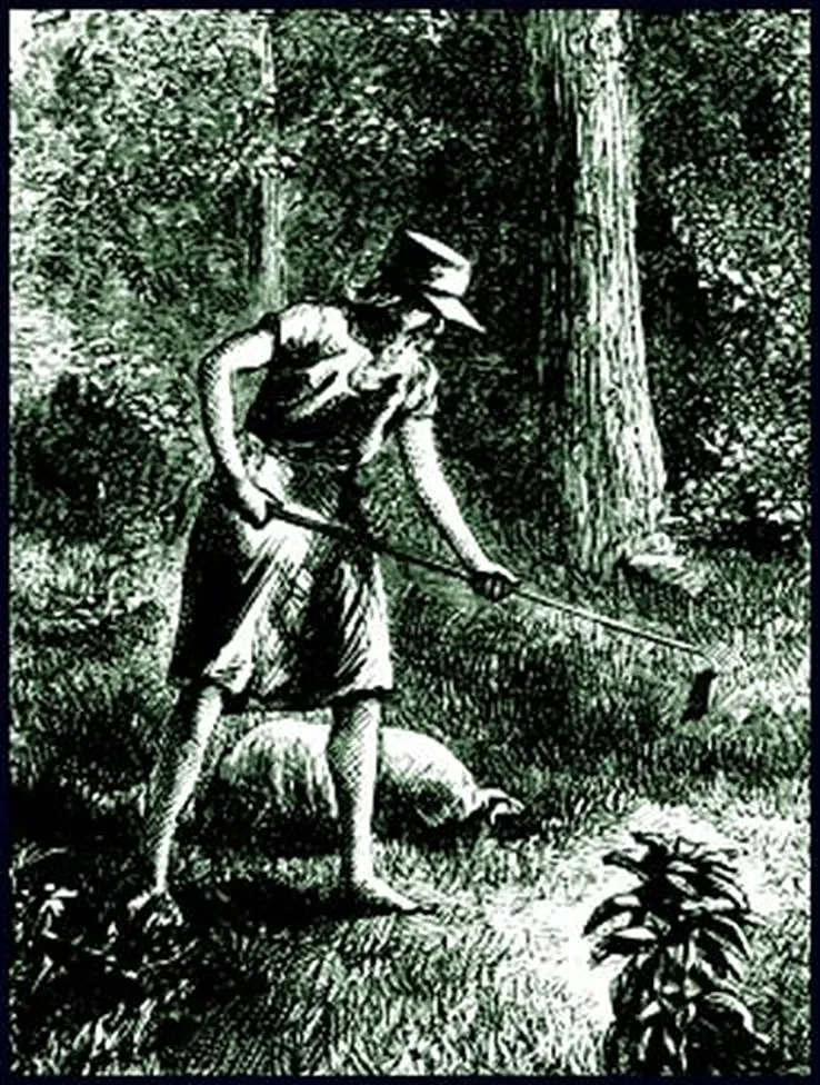 Johnny Appleseed, woodcut from Harper's New Monthly Magazine, 1871
